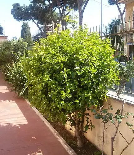 La Casetta Gialla Di Edoardo Апартаменты
